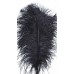 FEATHERS OSTRICH WING Black 14-17" (BULK)- OUT OF STOCK